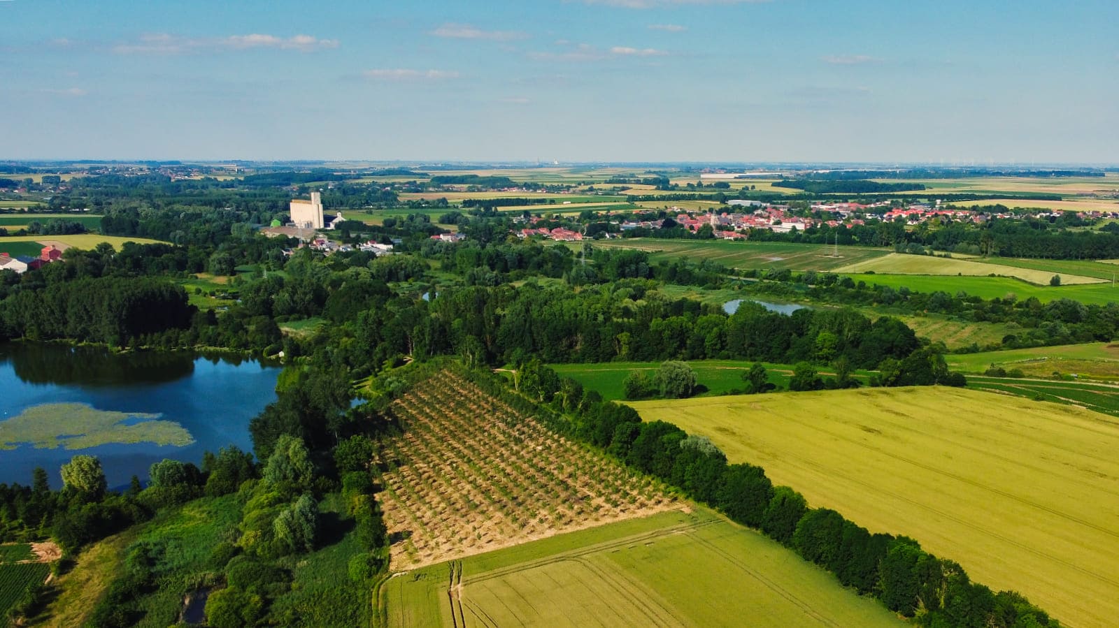 Vue aérienne de Baralle